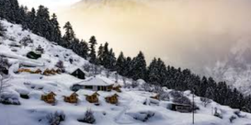 AULI