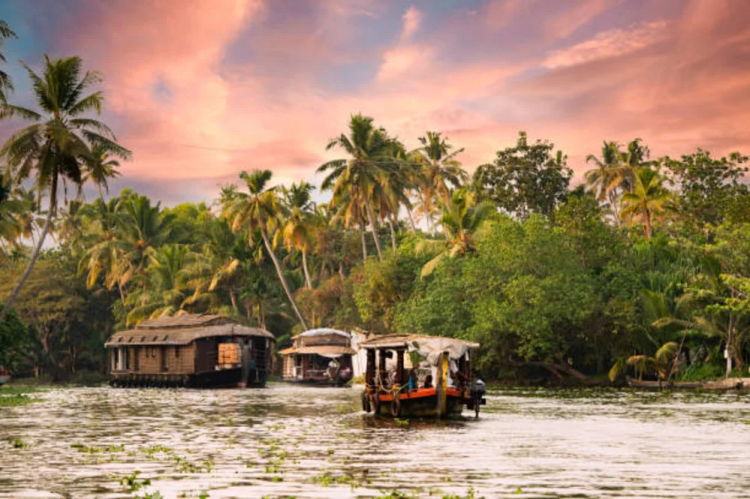 Alleppey : The beauty of Alleppey is in its Simplicity.