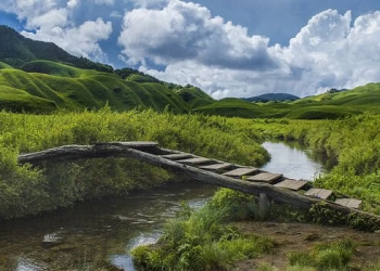 Nagaland : The Enchanting Land of rolling hills, rich culture, and untold adventures.