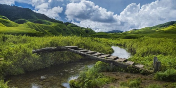 Nagaland : The Enchanting Land of rolling hills, rich culture, and untold adventures.